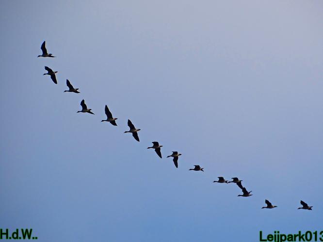 #leijpark013 6 &amp; 7 &amp; 8 &amp; 9 februari 2023 