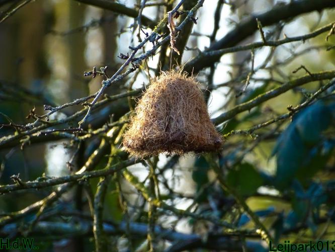 #leijpark013 6 &amp; 7 &amp; 8 &amp; 9 februari 2023 