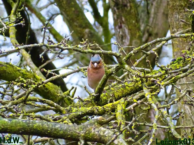 #leijpark013 6 &amp; 7 &amp; 8 &amp; 9 februari 2023 