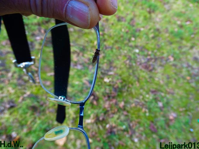 #leijpark013 6 &amp; 7 &amp; 8 &amp; 9 februari 2023 