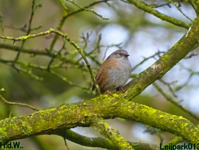 #leijpark013 6 &amp; 7 &amp; 8 &amp; 9 februari 2023 