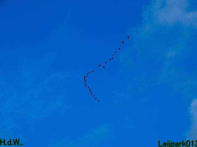 #leijpark013 6 &amp; 7 &amp; 8 &amp; 9 februari 2023 