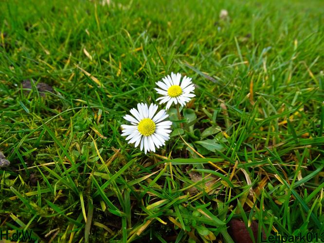 #leijpark013 6 &amp; 7 &amp; 8 &amp; 9 februari 2023 