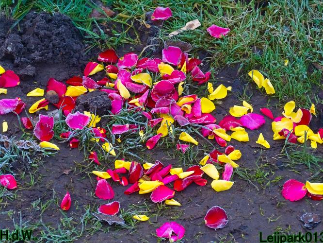 #leijpark013 6 &amp; 7 &amp; 8 &amp; 9 februari 2023 