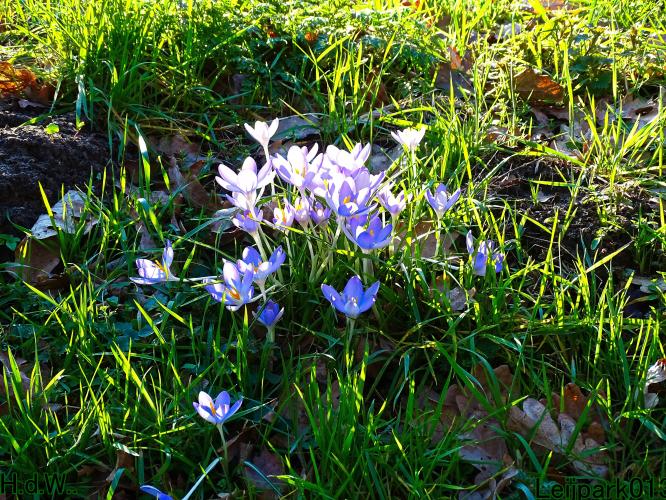 Leijpark013  14 &amp; 15 &amp; 16 &amp; 17 februari 2023 