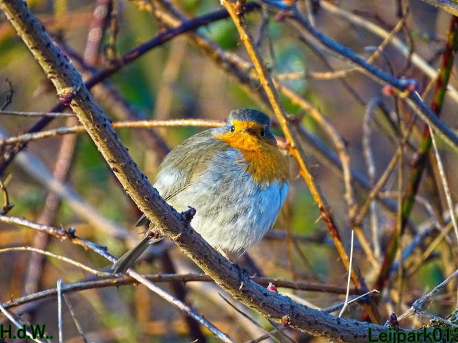 Leijpark013  14 &amp; 15 &amp; 16 &amp; 17 februari 2023 