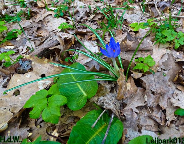 Leijpark013  14 &amp; 15 &amp; 16 &amp; 17 februari 2023 