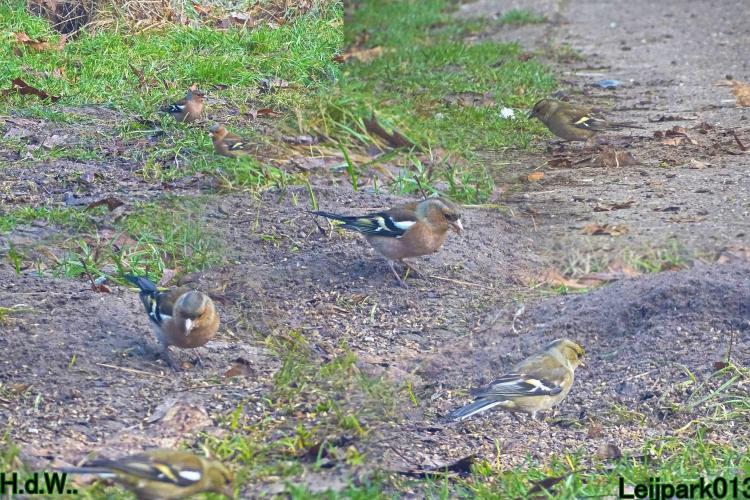 Leijpark013  14 &amp; 15 &amp; 16 &amp; 17 februari 2023 