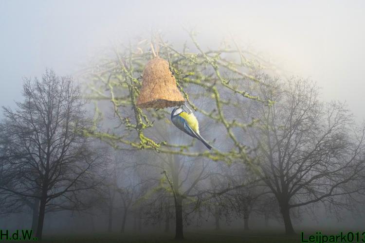 Leijpark013  14 &amp; 15 &amp; 16 &amp; 17 februari 2023 