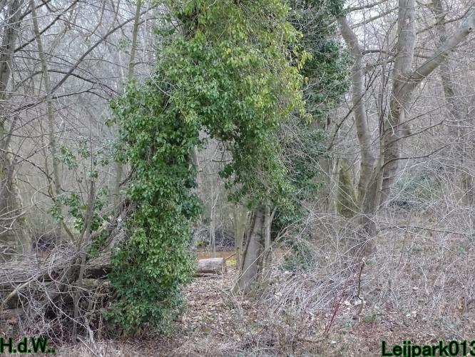 Leijpark013  14 &amp; 15 &amp; 16 &amp; 17 februari 2023 