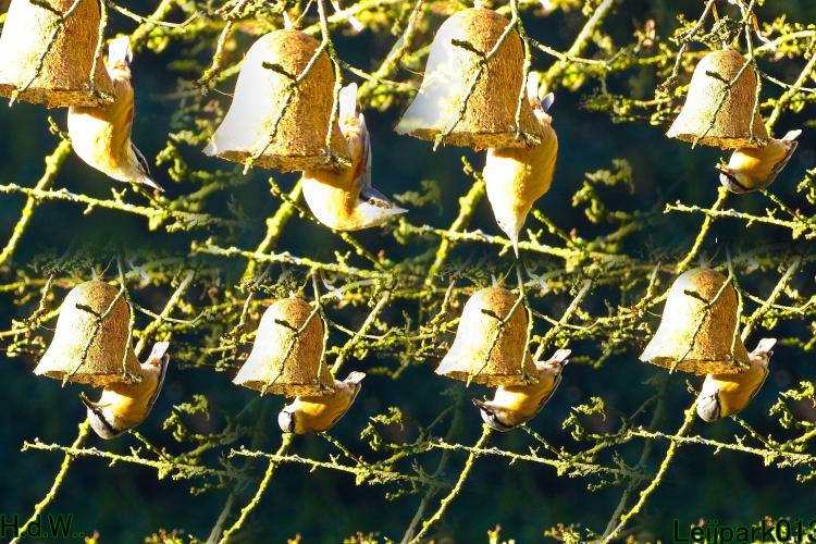 Leijpark013  14 &amp; 15 &amp; 16 &amp; 17 februari 2023 