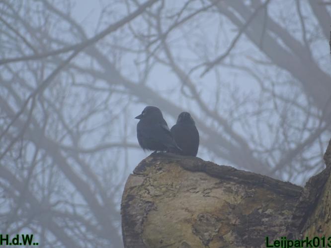 Leijpark013  14 &amp; 15 &amp; 16 &amp; 17 februari 2023 