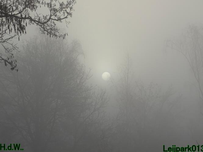 Leijpark013  14 &amp; 15 &amp; 16 &amp; 17 februari 2023 