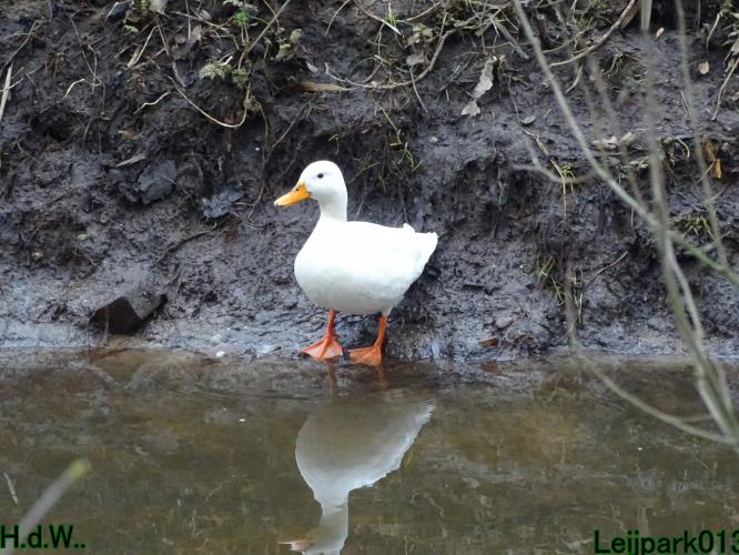 Leijpark013  14 &amp; 15 &amp; 16 &amp; 17 februari 2023 