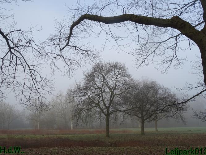 Leijpark013  14 &amp; 15 &amp; 16 &amp; 17 februari 2023 