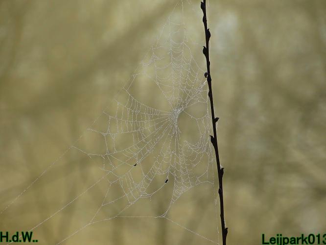Leijpark013  14 &amp; 15 &amp; 16 &amp; 17 februari 2023 