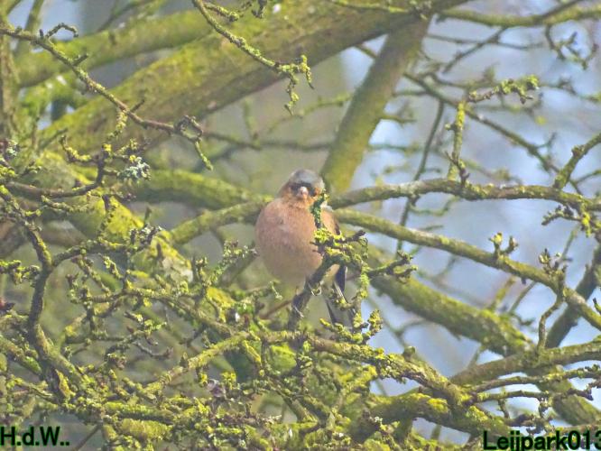 Leijpark013  14 &amp; 15 &amp; 16 &amp; 17 februari 2023 