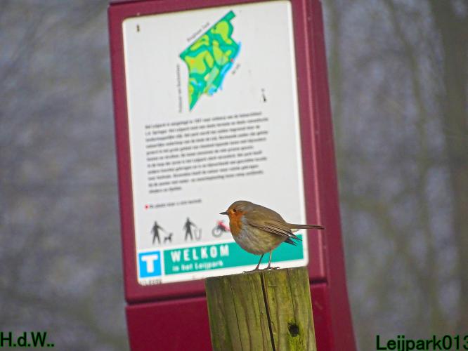 Leijpark013  14 &amp; 15 &amp; 16 &amp; 17 februari 2023 