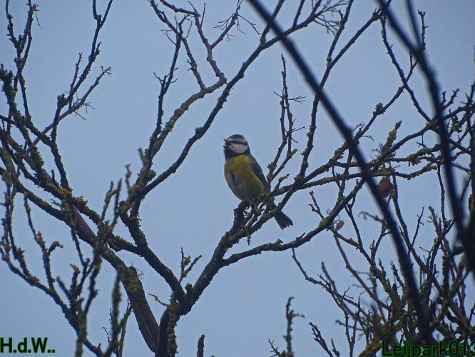 Leijpark013  14 &amp; 15 &amp; 16 &amp; 17 februari 2023 