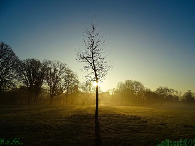 Leijpark013  14 &amp; 15 &amp; 16 &amp; 17 februari 2023 