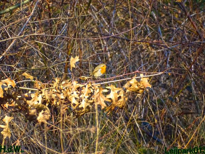 Leijpark013  14 &amp; 15 &amp; 16 &amp; 17 februari 2023 