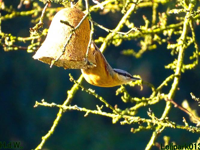 Leijpark013  14 &amp; 15 &amp; 16 &amp; 17 februari 2023 