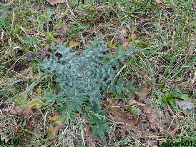 Leijpark013  14 &amp; 15 &amp; 16 &amp; 17 februari 2023 