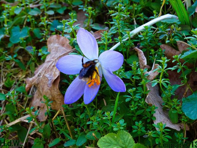 Leijpark013  14 &amp; 15 &amp; 16 &amp; 17 februari 2023 