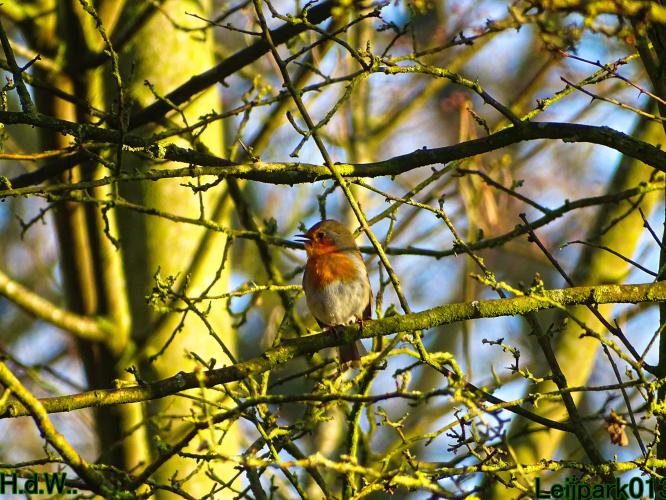 Leijpark013  14 &amp; 15 &amp; 16 &amp; 17 februari 2023 