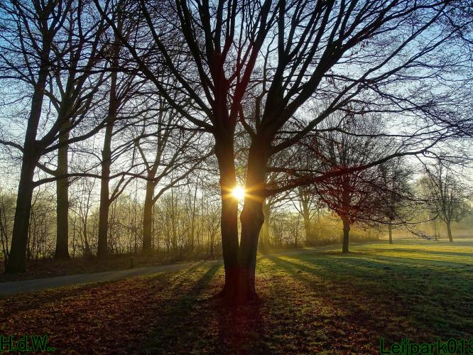 Leijpark013  14 &amp; 15 &amp; 16 &amp; 17 februari 2023 