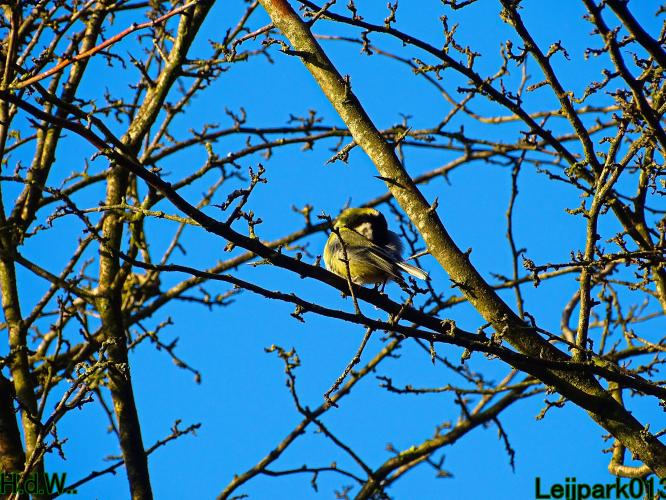 Leijpark013  14 &amp; 15 &amp; 16 &amp; 17 februari 2023 