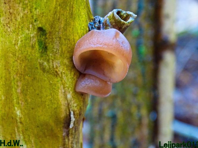 Leijpark013 10 &amp; 11 &amp; 12 &amp; 13 maart 2023 