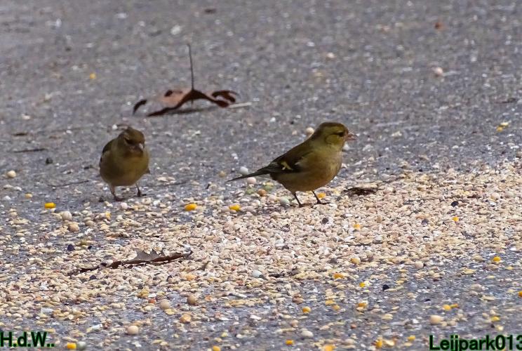 Leijpark013 10 &amp; 11 &amp; 12 &amp; 13 maart 2023 