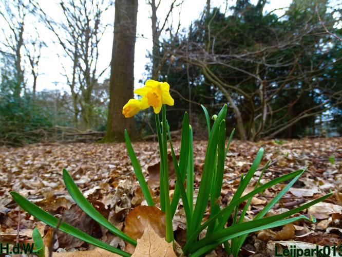 Leijpark013 10 &amp; 11 &amp; 12 &amp; 13 maart 2023 