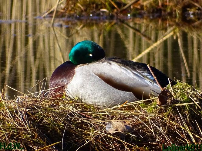 Leijpark013 10 &amp; 11 &amp; 12 &amp; 13 maart 2023 