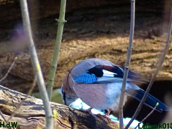 Leijpark013 10 &amp; 11 &amp; 12 &amp; 13 maart 2023 