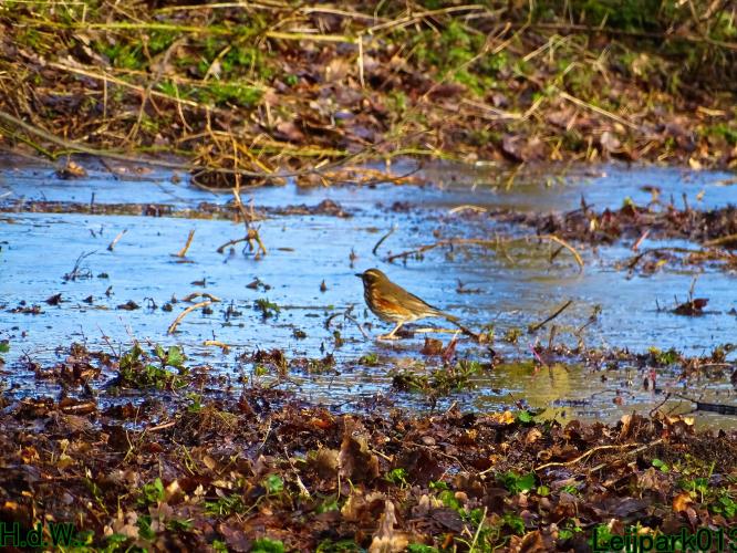 Leijpark013 10 &amp; 11 &amp; 12 &amp; 13 maart 2023 