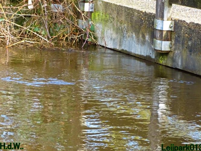 Leijpark013 10 &amp; 11 &amp; 12 &amp; 13 maart 2023 