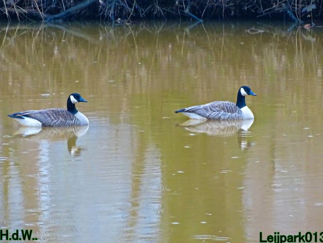 Leijpark013 10 &amp; 11 &amp; 12 &amp; 13 maart 2023 