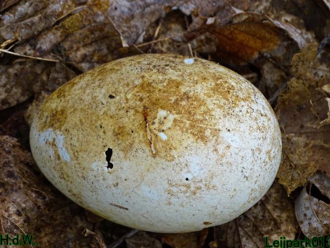 Leijpark013 10 &amp; 11 &amp; 12 &amp; 13 maart 2023 