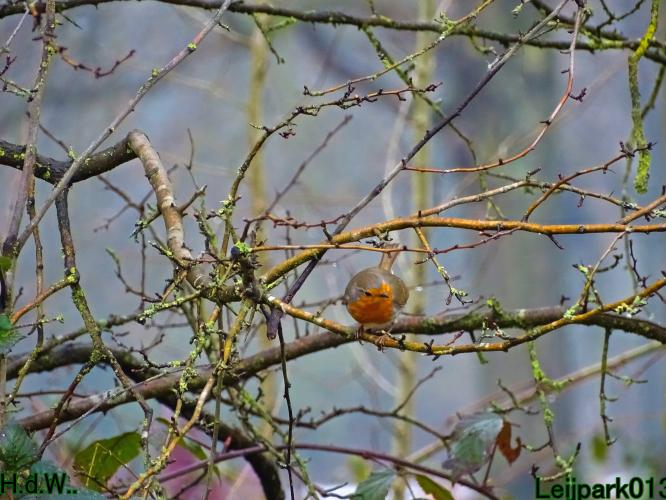 Leijpark013 10 &amp; 11 &amp; 12 &amp; 13 maart 2023 