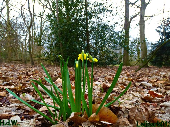 Leijpark013 10 &amp; 11 &amp; 12 &amp; 13 maart 2023 