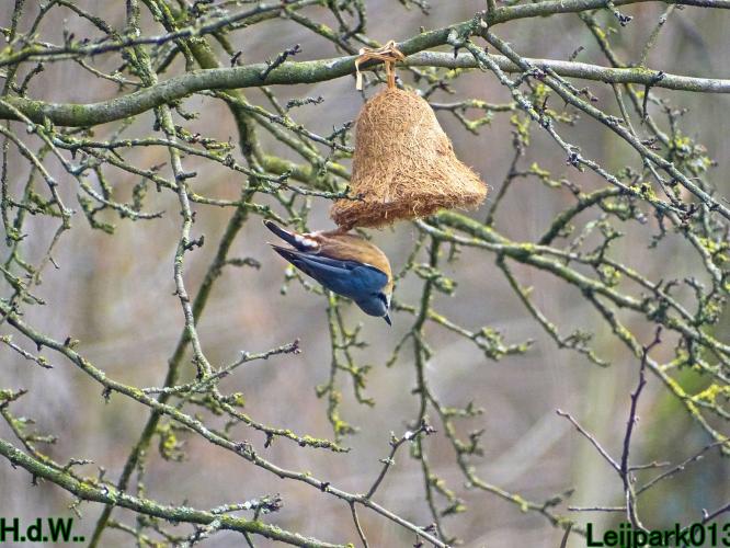 Leijpark013 10 &amp; 11 &amp; 12 &amp; 13 maart 2023 