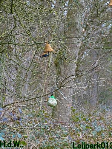 Leijpark013 10 &amp; 11 &amp; 12 &amp; 13 maart 2023 