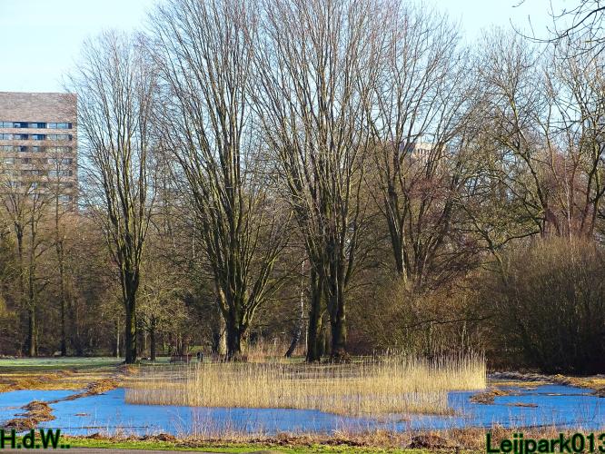 Leijpark013 10 &amp; 11 &amp; 12 &amp; 13 maart 2023 