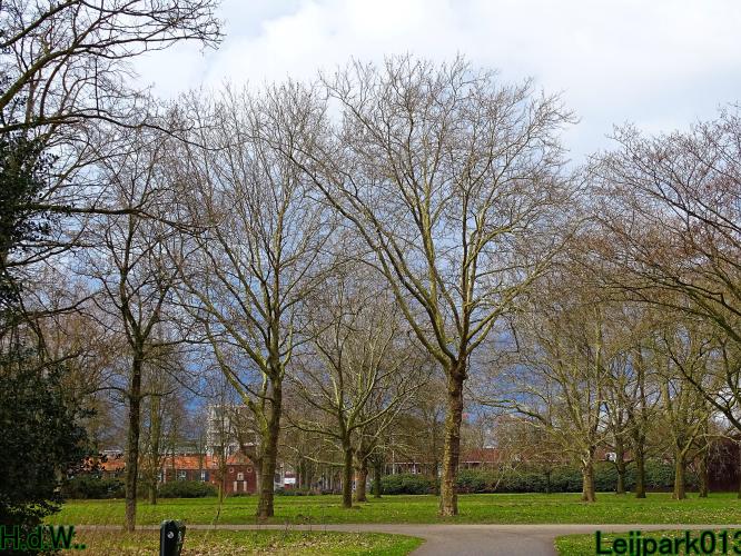 Leijpark013 10 &amp; 11 &amp; 12 &amp; 13 maart 2023 