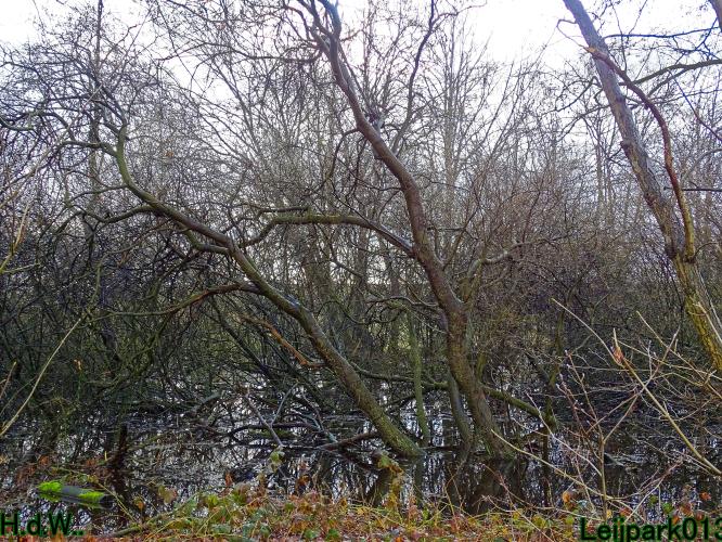 Leijpark013 10 &amp; 11 &amp; 12 &amp; 13 maart 2023 