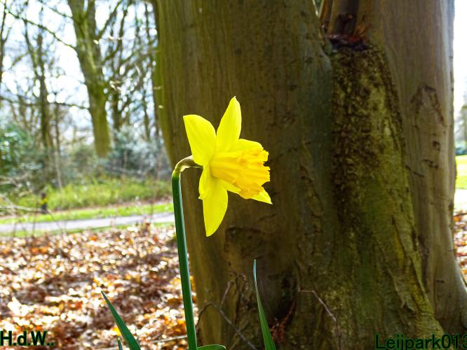 Leijpark013 14 &amp; 15 &amp; 16 &amp; 17 maart 2023 