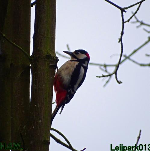 Leijpark013 14 &amp; 15 &amp; 16 &amp; 17 maart 2023 