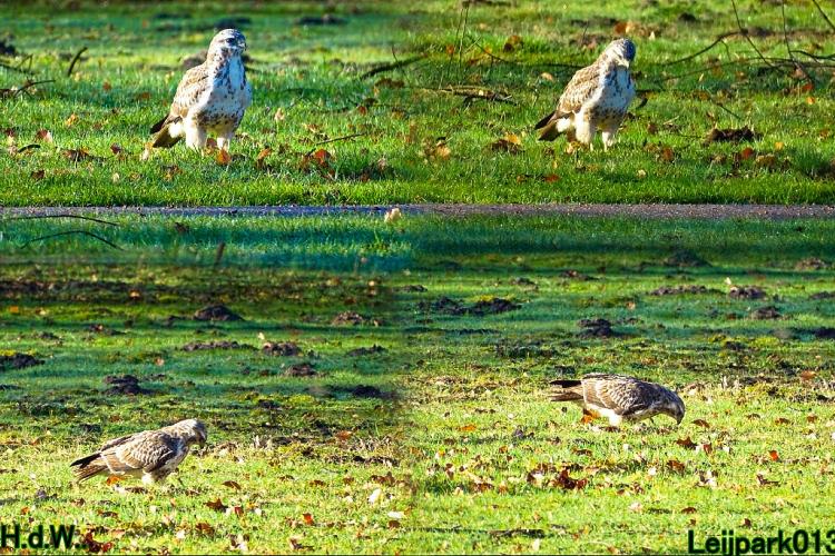 Leijpark013 14 &amp; 15 &amp; 16 &amp; 17 maart 2023 